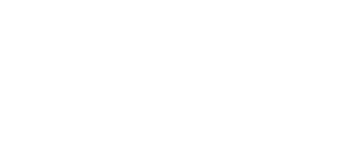 STUDIO PHOENIX LOGO